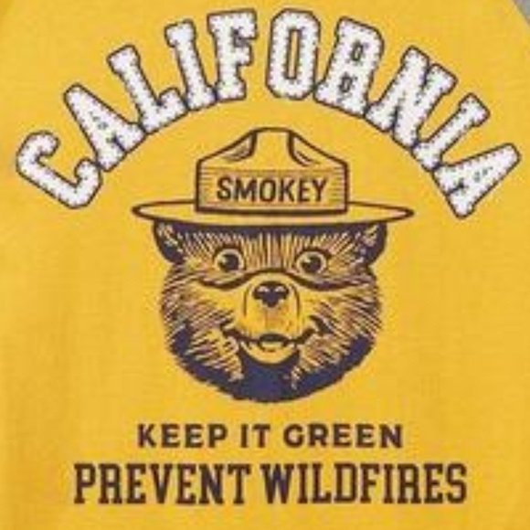 ❤️NWT VINTAGE TORRID TEE SMOKEY BEAR CALIFORNIA PREVENT WILDFIRES SHIRT PLUS - Picture 2 of 11